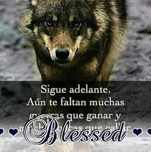 Meet your Posher, Eladio